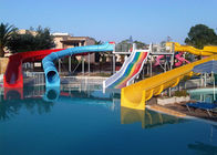 Customized Size Adults Whizzard Swimming Pool Water Slides