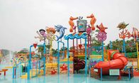 Attractive Water Park Equipment Marine Theme Style Construction Play House