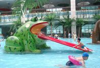 Frog Water Slide Kids Water Playground Equipment For Swimming Pool